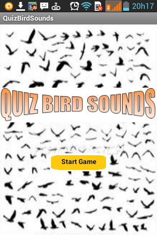 Quiz Bird Sounds