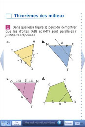 Manuel Sésamath 4e poster 3