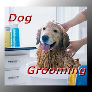 Dog Grooming 0.73.13432.06976
