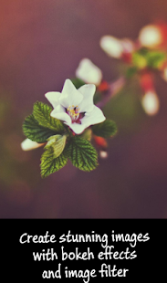 download Photo Bokeh Effect free