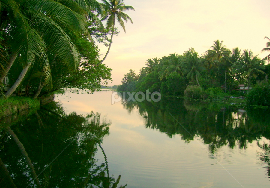Backwaters by Kalai Vanan - Landscapes Waterscapes