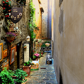 by Stephan Botha - City,  Street & Park Street Scenes