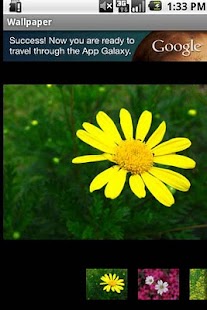 Lastest Flower Wallpapers APK
