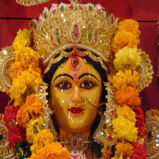 免費下載社交APP|Durga Puja Frankfurt app開箱文|APP開箱王