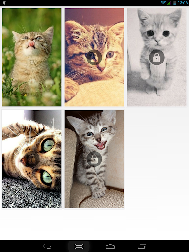 Puzzle Cute Kittens PRO
