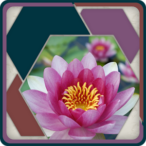 HexSaw - Petals 1.1.2