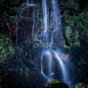 Clear by Carla Roque - Nature Up Close Water