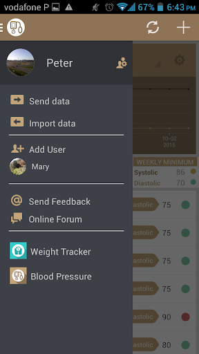 Blood Pressure QuickLog.me