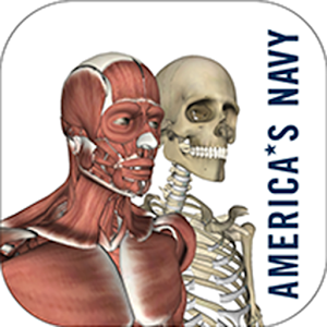 Anatomy Study Guide 1.04 Icon