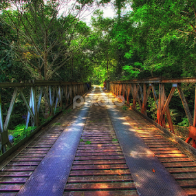 Jambatan Sungai Relau by Dak Debab Photoholic - Buildings & Architecture Bridges & Suspended Structures