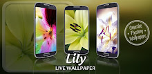 Lily Live Wallpaper APK
