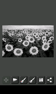 How to install Image Decolorizer 1.0.3 mod apk for pc