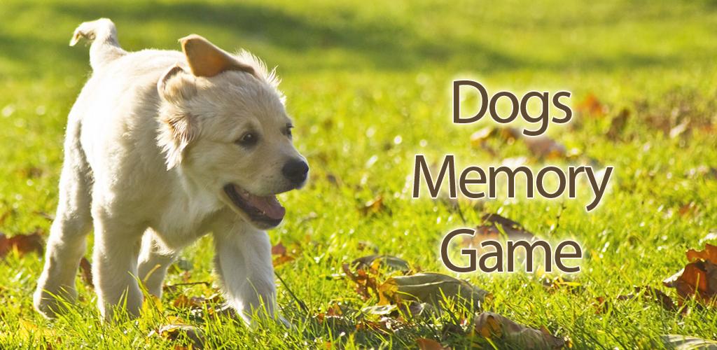 какая память у собак. какая память у собак. базовые потребности собаки. фотографии памяти собаки. фотографии памяти собаки.