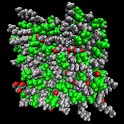 Orgo: Amines logo