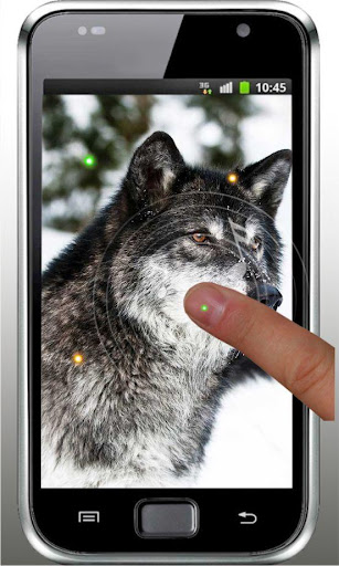 免費下載個人化APP|Wild Wolves live wallpaper app開箱文|APP開箱王