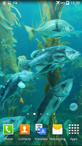 水族館動畫壁紙