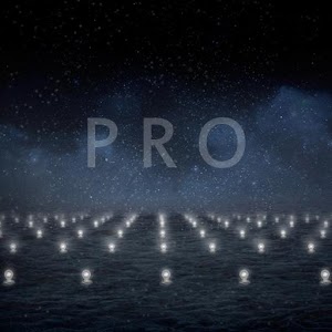 Light bulbs on a field LWP PRO logo
