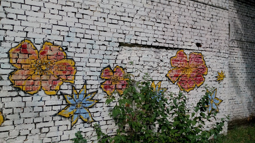 Цветы На Стене
