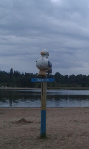 Rastila Seagull Statue