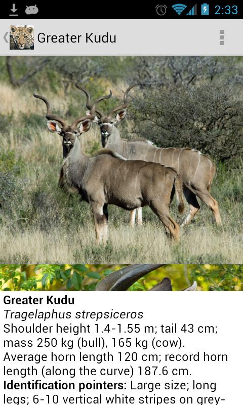 Mammals of Southern Africa Screen 3