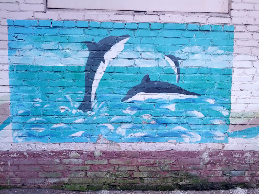 Dolphins Graffiti  