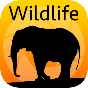 LBE Wildlife Photography.apk 1.1