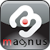 Czech Dictionaries Magnus5.2.19.355