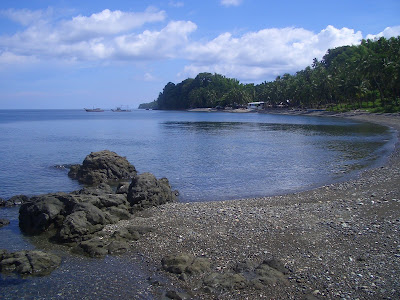 フィリピンのバサンバサ・ビーチ (Basangbasa Beach, Iloilo, Phillippines) という海岸に行った時に見つけた椰子の木のお花をご紹介します
