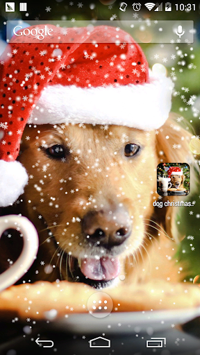 免費下載個人化APP|dog christmas wallpaper app開箱文|APP開箱王