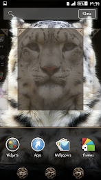 Snow Leopard XZ Theme poster 6