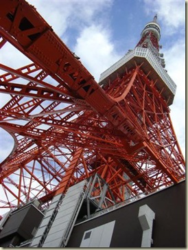 CIMG0391 (Small)