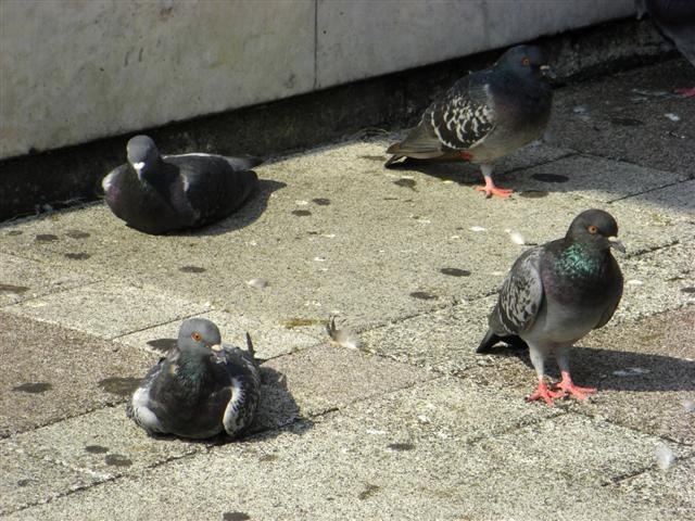 [CIMG0662 (Small)[3].jpg]