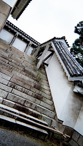 [ap_20070814101033977[5].jpg]