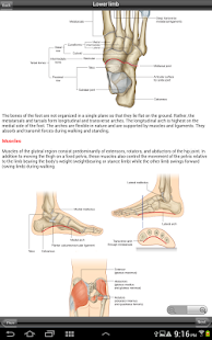 Download Gray's Upper and Lower Limb APK