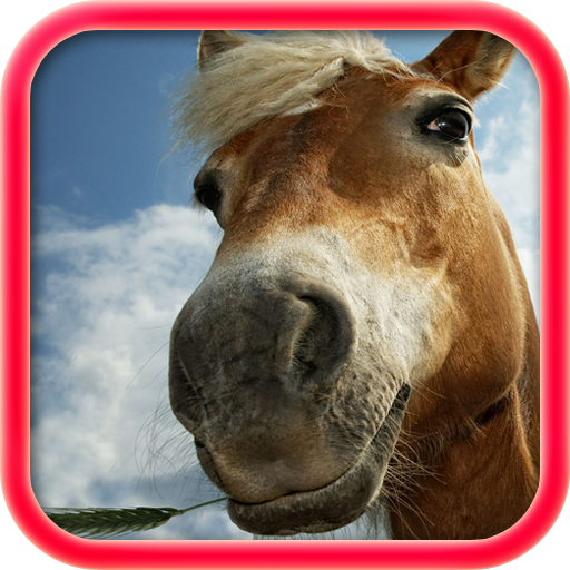 Horses Jigsaw Puzzles LOGO-APP點子