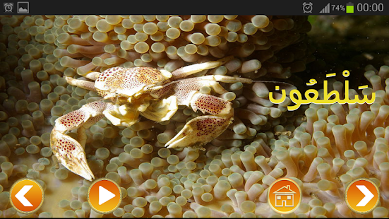 Free Download عالم الحيوانات APK for Android