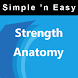 Strength Anatomy