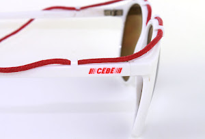cebe-6337678169604096-5