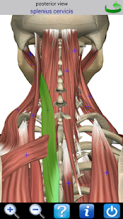 Visual Anatomy 2 Screen 2