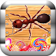 ANT SMASHER DX (simple & easy) APK