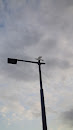 鳥の街灯