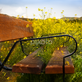 Flower Bench in Spain by Marjorie Speiser - Artistic Objects Furniture