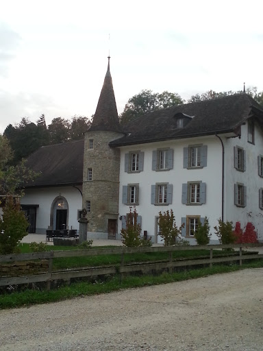 Château De Salavaux