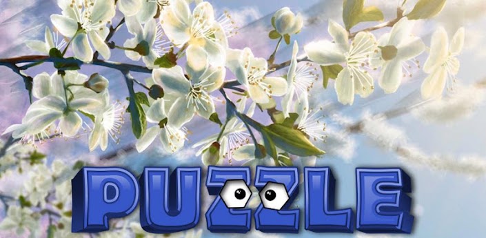 Puzzle D3 Media