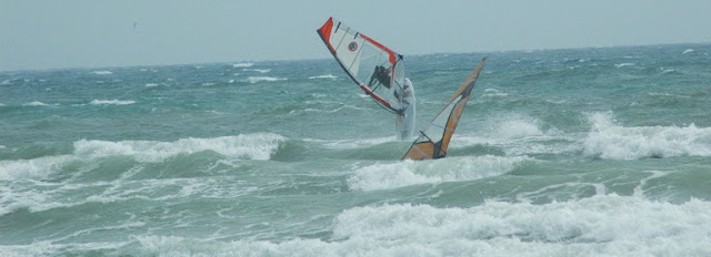DSC_0706_resize.jpg