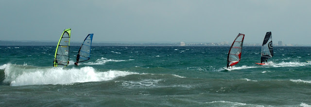 DSC_4371.JPG