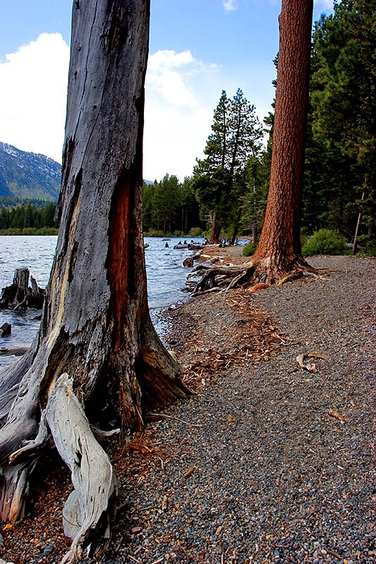 [fallen leaflake3[4].jpg]