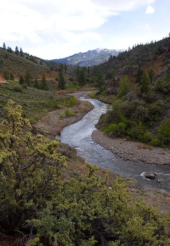 [drive to bridgeport1[4].jpg]