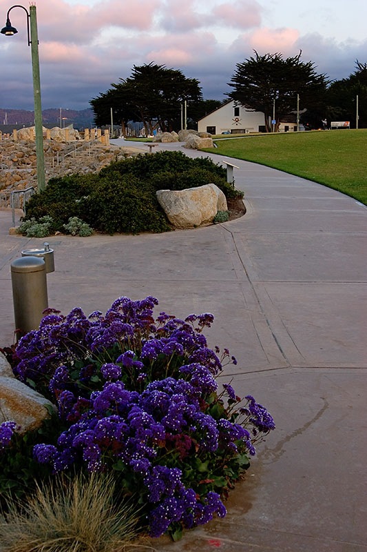 [MONTEREY2[4].jpg]