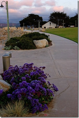 MONTEREY2